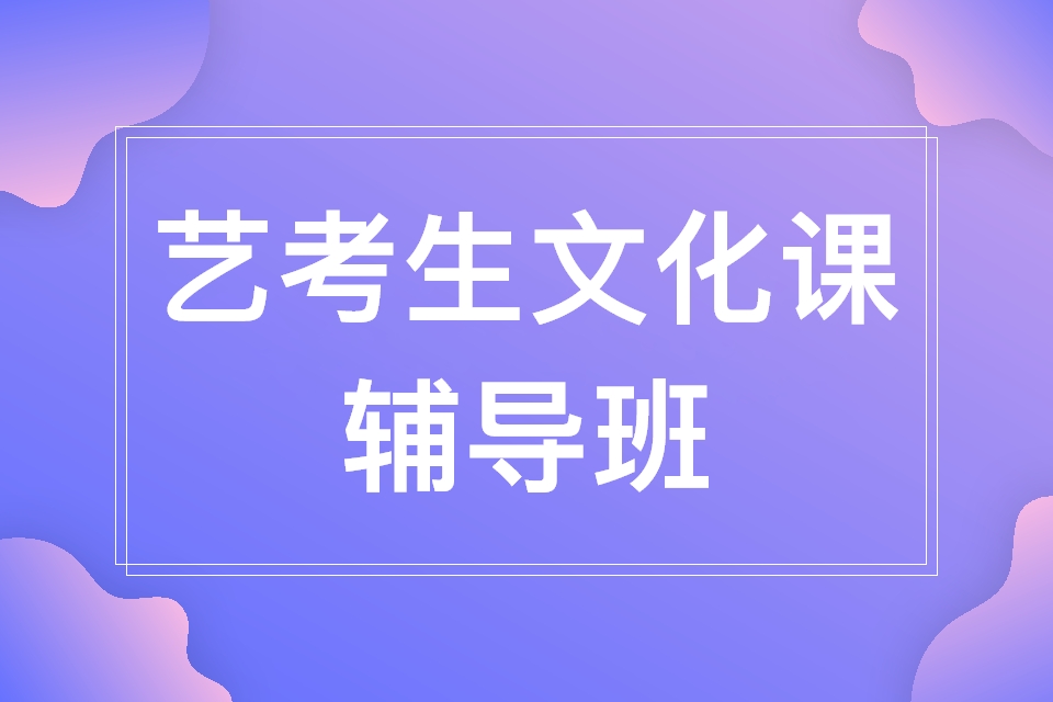 武汉艺考生文化课一对一辅导机构是怎么帮助艺考生复习文化课的？