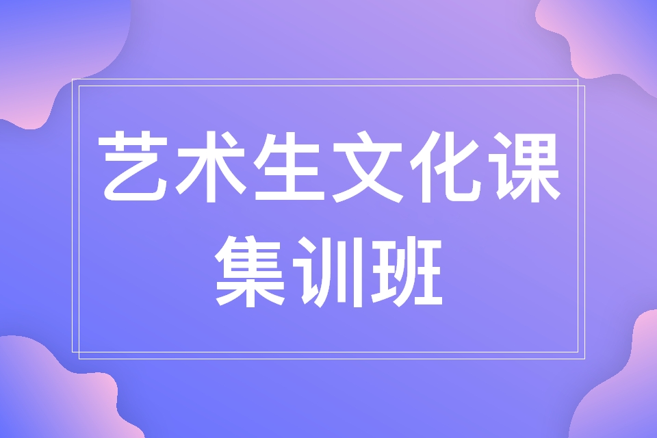 武汉艺考生文化课高考冲刺班