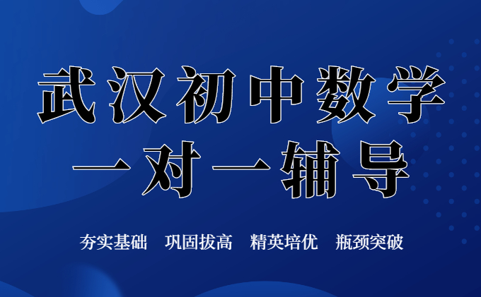 武汉初中数学一对一辅导