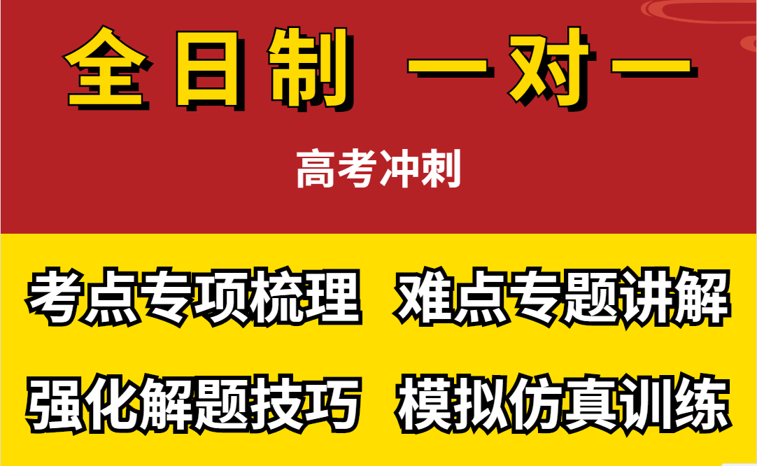 高考冲刺全日制一对一