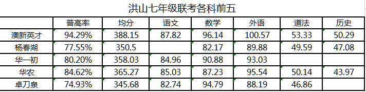 澳新英才2+4班