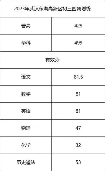 东湖高新区武汉初三四调划线
