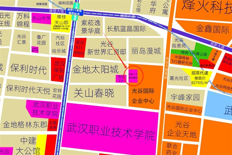光谷实验中学3