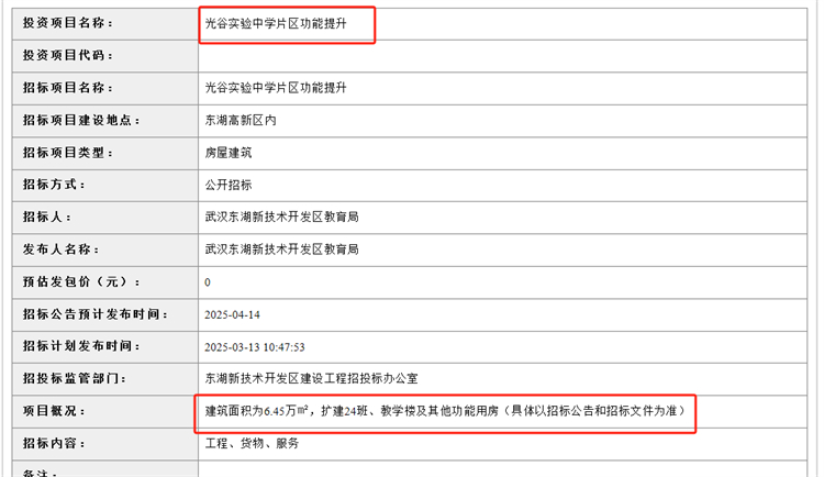 光谷实验中学1